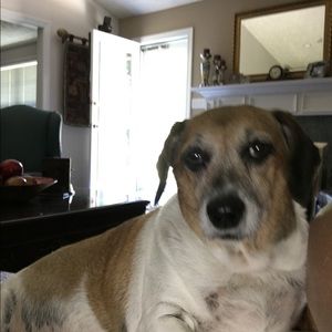 Meet your Posher, Janet